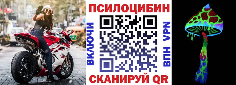 где купить   blacksprut зеркало  Галлюциногенные грибы мицелий  Камбарка 